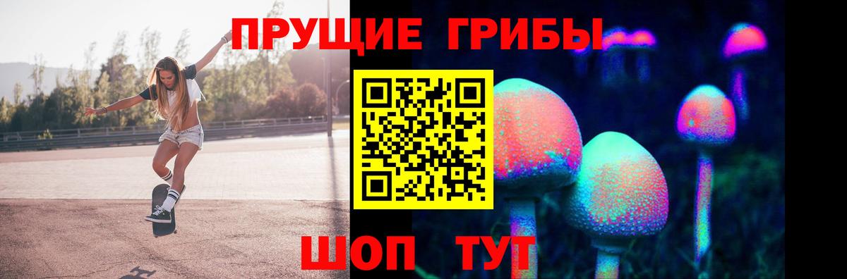 где купить наркотик  Вход с VPN  Удомля  Псилоцибиновые грибы MAGIC MUSHROOMS  Псилоцибиновые грибы Psilocybine cubensis 